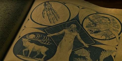 How Do Amplifiers Work In Shadow And Bone