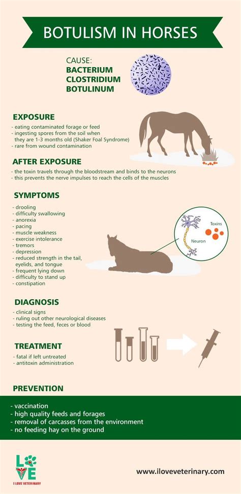 how do animals get botulism