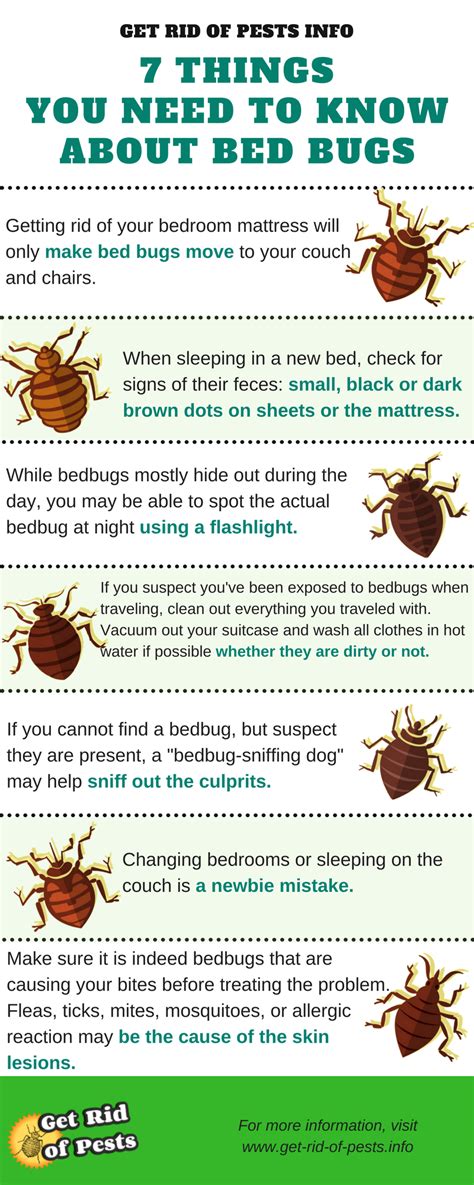 How Do Bed Bugs Know Where To Go