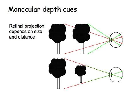 How Do Binocular Cues Help With Depth Perception