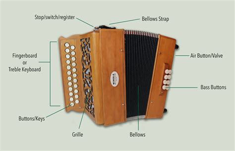 How Do Button Accordions Work
