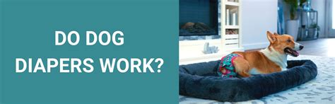 How Do Dog Diapers Work