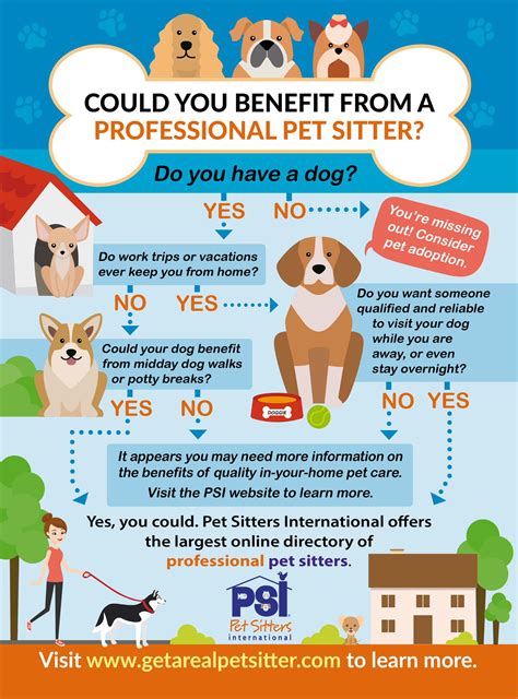 How Do Dog Sitters Work