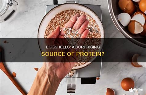How Do Eggshells Form