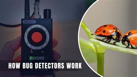 How Do Electronic Bug Detectors Work