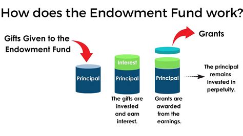 How Do Endowment Funds Work
