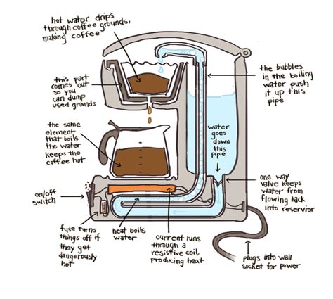 How Do Filter Coffee Makers Work