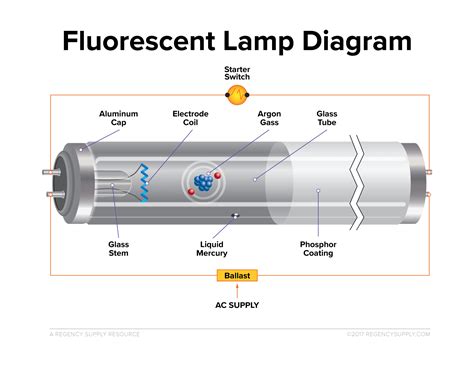 How Do Fluorescent Bulbs Work
