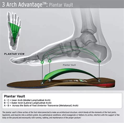 How Do Foot Levelers Work