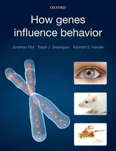 How Do Genes Influence Behavior And Environment
