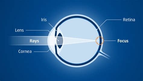 How Do Glasses Lens Work
