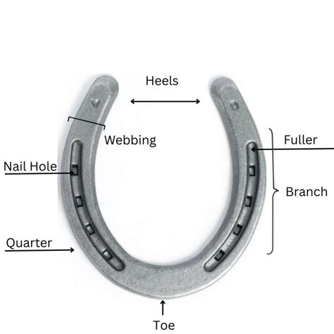 How Do Horseshoes Work