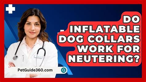 How Do Inflatable Dog Collars Work