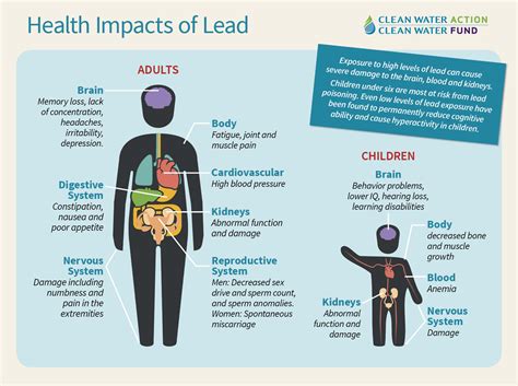 How Do Lead Affect Your Body