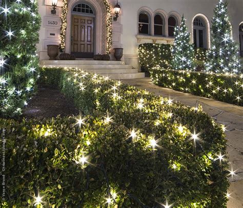 How Do Net Lights Work