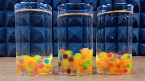 How Do Orbeez Multiply