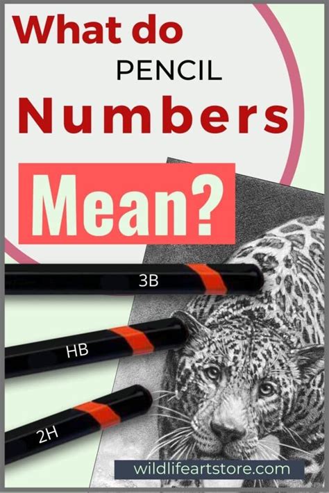 How Do Pencil Numbers Work