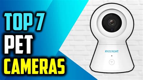 How Do Pet Cameras Work