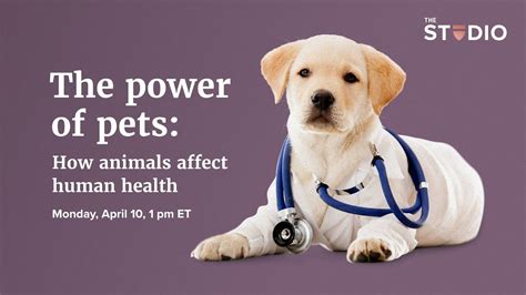 How Do Pets Affect Humans