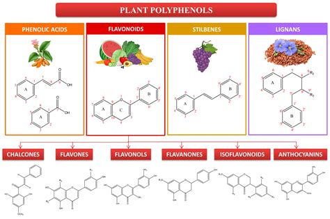 How Do Polyphenols Work