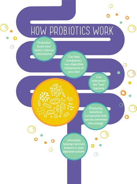 How Do Probiotics Help Digestive System