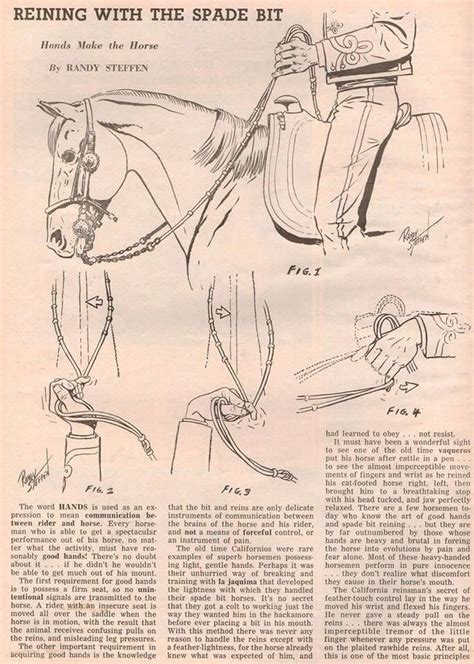 How Do Spade Horse Bits Work