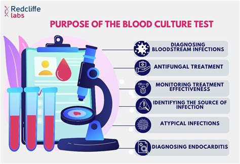 How Do They Test Blood Samples