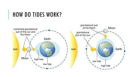 How Do Tides Work In Rivers