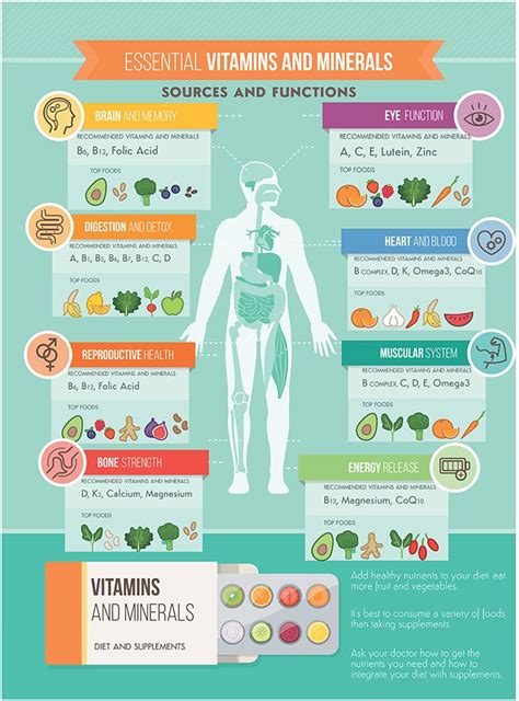 how do vitamins help support the body's functions