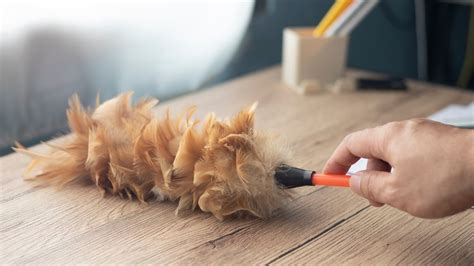 How Do You Clean Feather Dusters