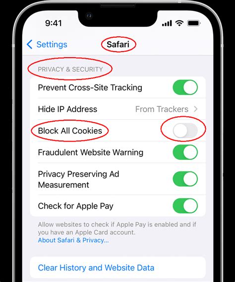 how do you enable javascript and cookies on iphone