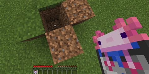 How Do You Get An Axolotl In Minecraft In A Bucket