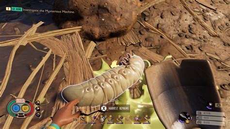 how do you get grubs in grounded