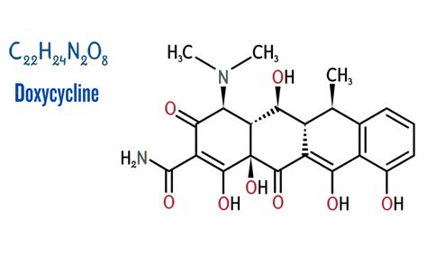 how do you know if doxycycline is working for infection