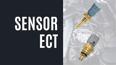How Do You Know If Your Ect Sensor Is Bad