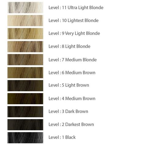  79 Gorgeous How Do You Know What Level Your Hair Color Is For New Style