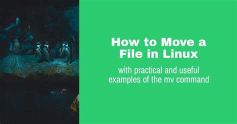 How Do You Move A File In Linux