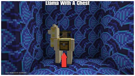 How Do You Put Stuff In A Chest On A Llama