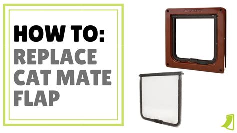 How Do You Replace A Cat Flap