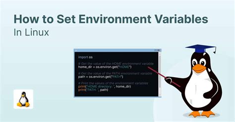 How Do You Set Environment Variables In Linux