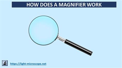 how do you spell magnify