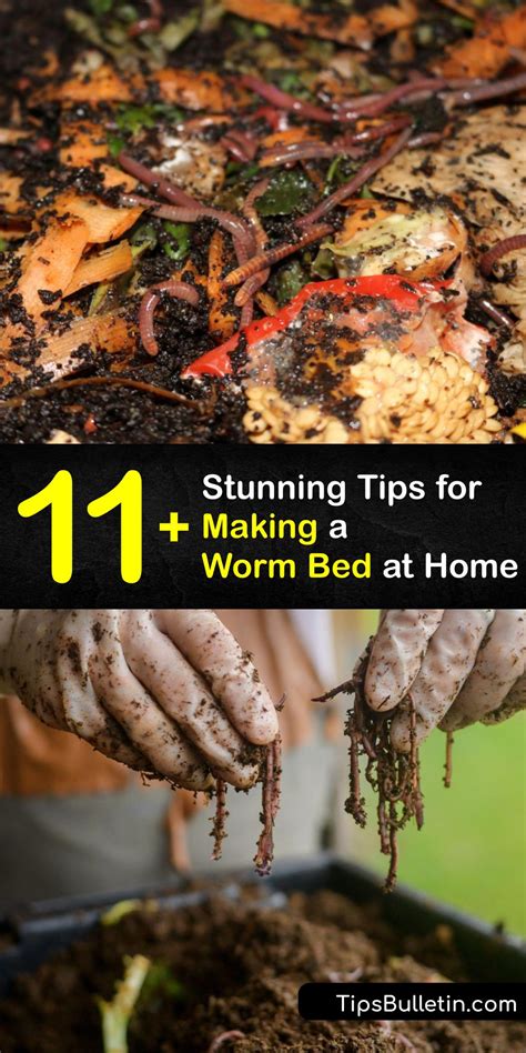 How Do You Start A Worm Bed