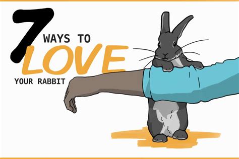 How Do You Tell Your Rabbit You Love Them