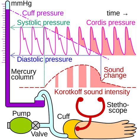 how do you write a blood pressure measurement