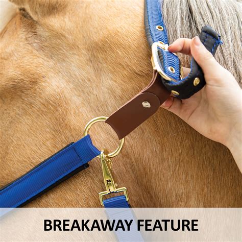 How Does A Breakaway Halter Work