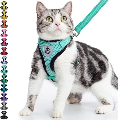How Does A Cat Leash Work