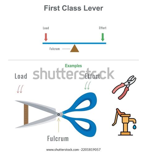 How Does A Class 2 Lever Make Work Easier
