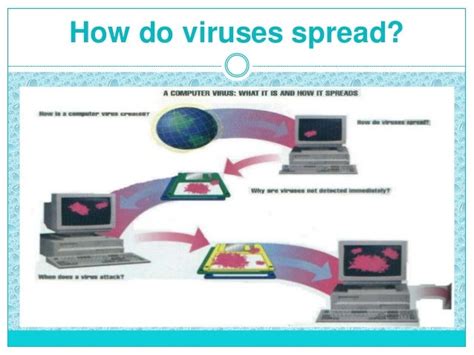 how does a computer virus attack and spread
