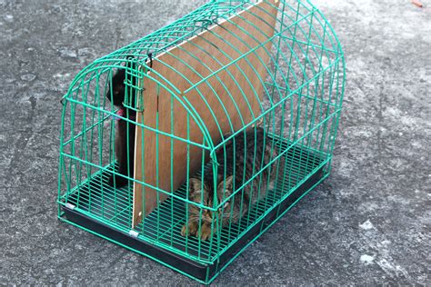 How Does A Crate Divider Work