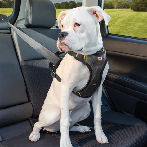 How Does A Dog Harness Work In A Car